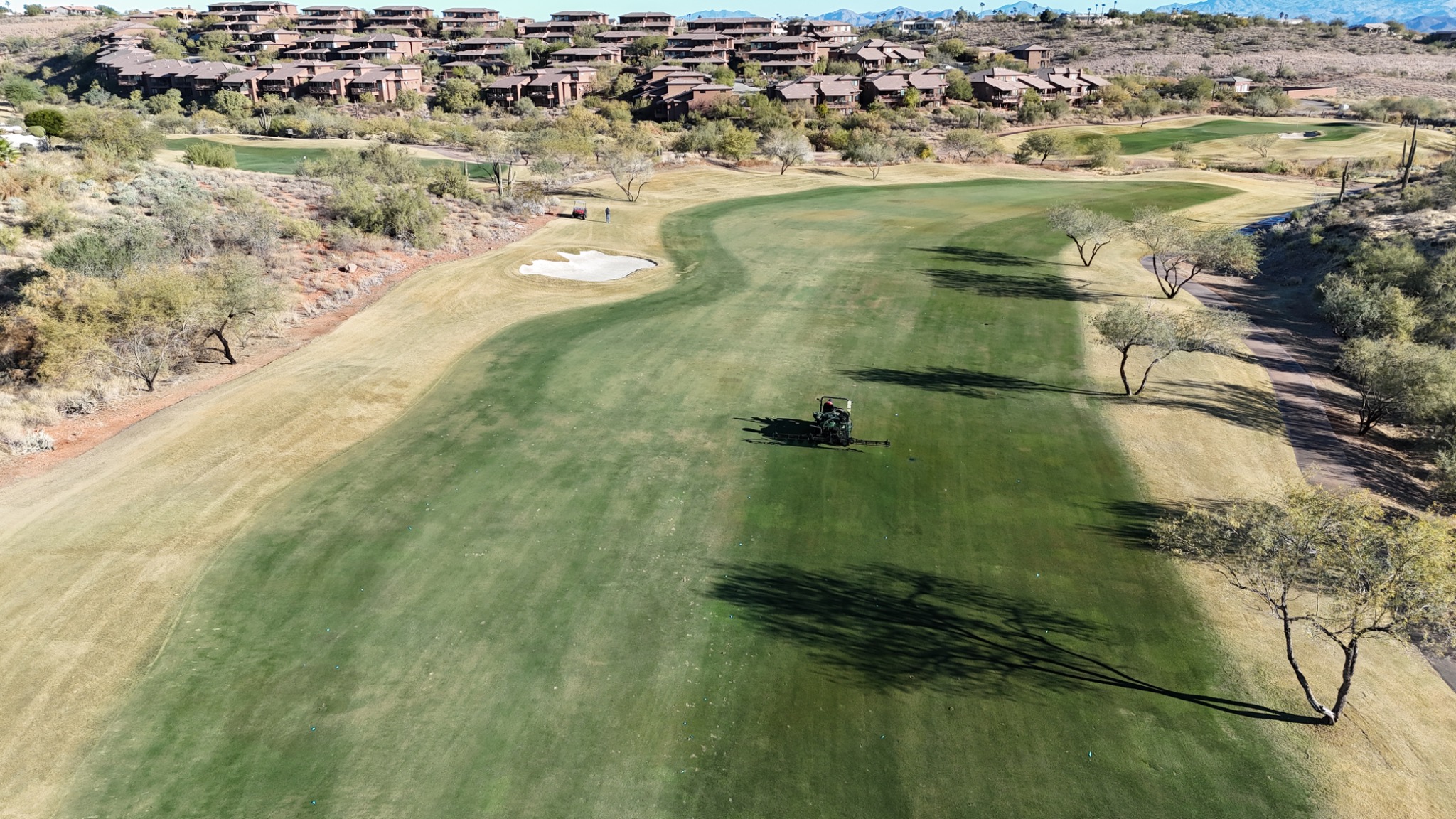 Southwest Turf Support work and turf projects